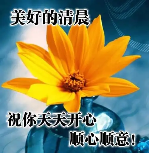 新的一天早上好快乐的早晨送你健康平安!