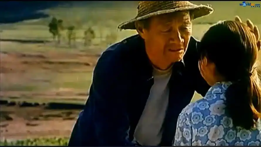 催泪电影《暖春》