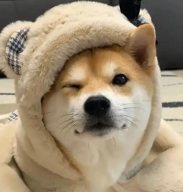 头像|是百看不厌的微信头像呀