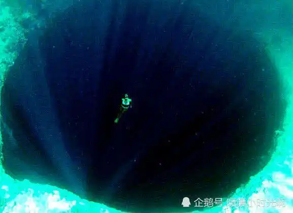 几张令人汗毛直立的图片有深海恐惧症和巨物恐惧症的慎入