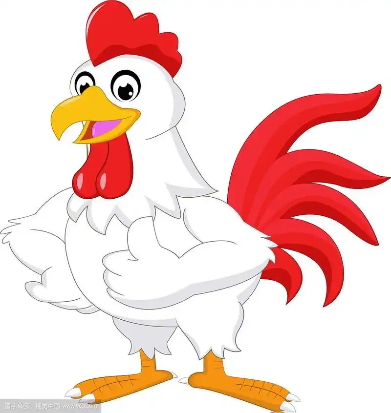 竖起大拇指的公鸡卡通