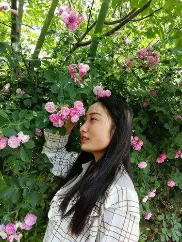 美女在花丛中 - 美篇