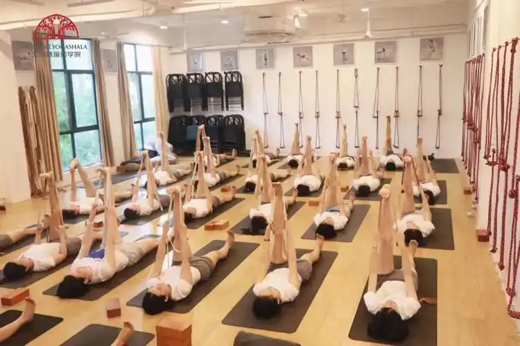 艾扬格瑜伽学院外派课『体式的精进与提升』-新闻中心 - 金华清心瑜伽