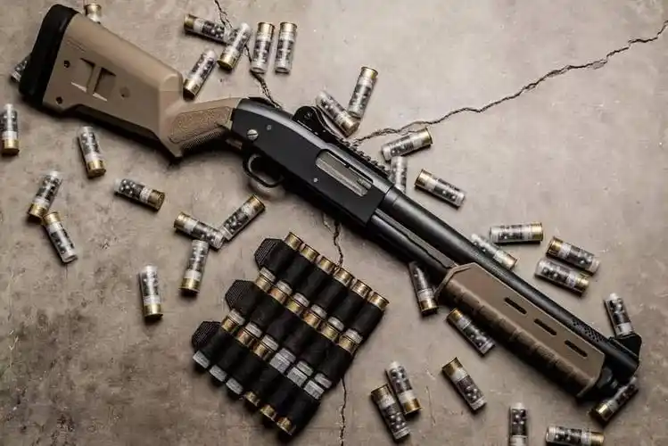 你们想看的想聊的逍遥都知道火器酷视频号军事小视频敬请关注返回搜狐