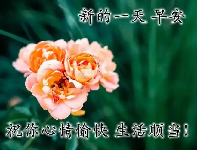 8张特别漂亮的早上好免打字图片带祝福语2021秋日温馨的早上好问候语