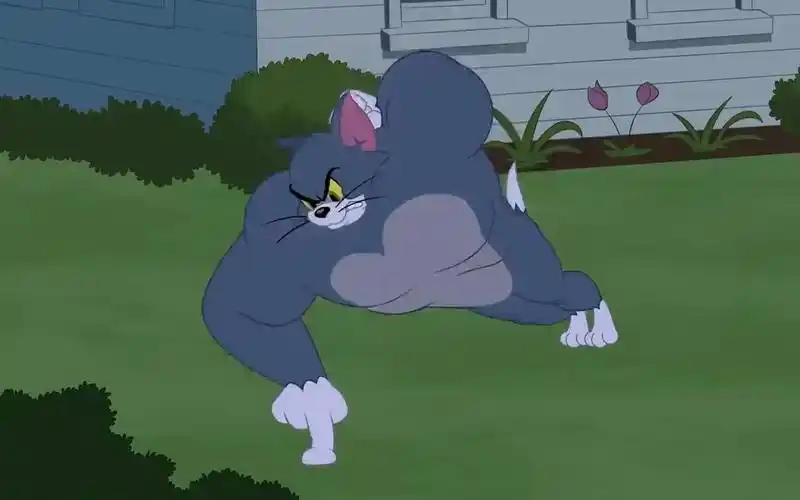 【猫和老鼠】健身猫汤姆