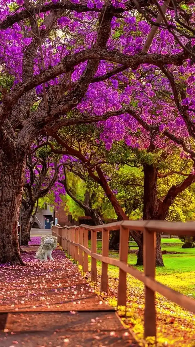 唯美意境风景高清手机壁纸. #手机锁屏壁纸 ##锁屏壁纸 # - 抖音