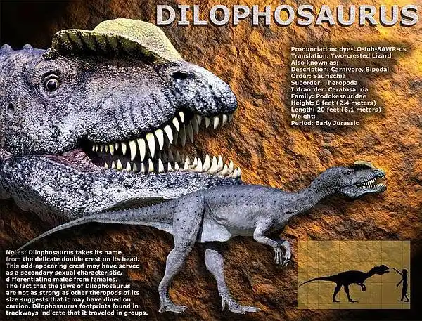 lz是看过侏罗纪公园2失落的世界中这段:猎人大队降落到索纳岛抓恐龙