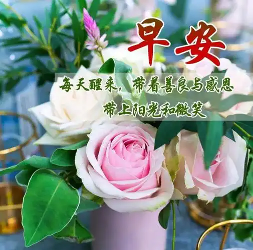 早安问候每日一祝|清晨|晨曦|快乐|晨光|好心情_网易订阅