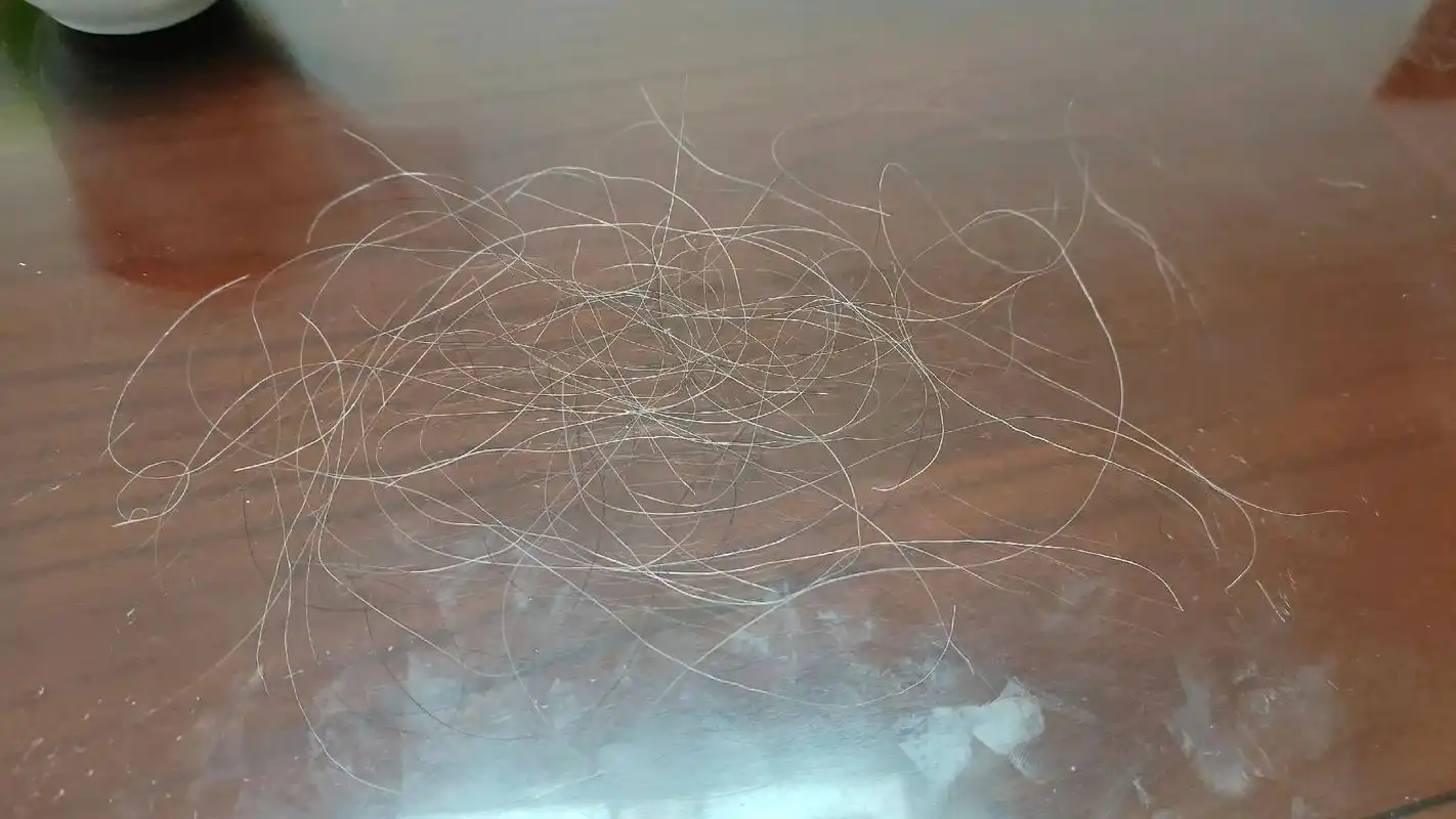 洗完头让妈妈给我拔白头发