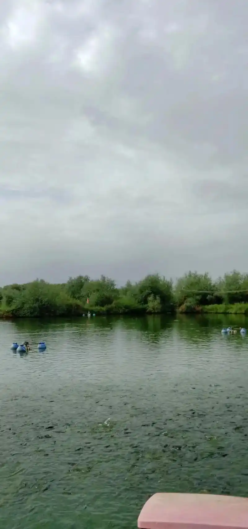 雨后的鱼塘空气格外清新,鱼民们的写真#自然风光 #最美乡村风 - 抖音