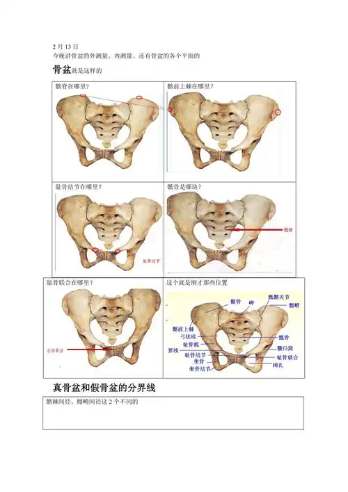 骨盆测量一看就懂