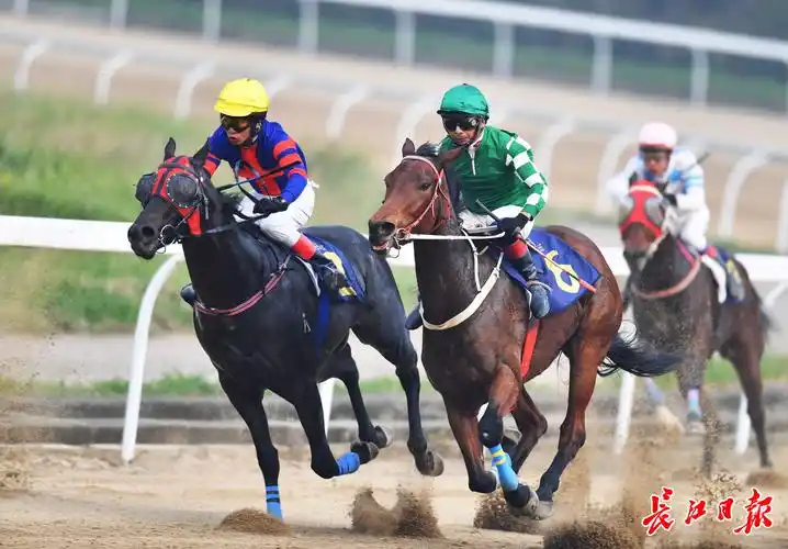 一马当先第十九届中国武汉国际赛马节开幕