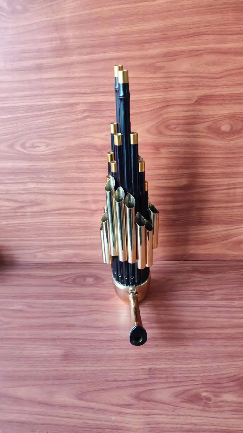 民族乐器 #笙 #非遗文化 #专 - 抖音