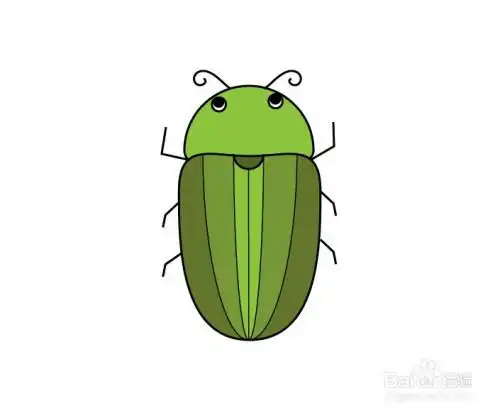 甲虫金龟子简笔画如何画?