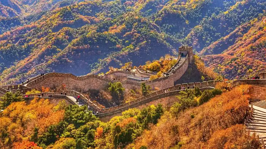 八达岭长城红叶进入最佳观赏期