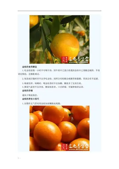 冰糖金桔的功效与作用禁忌_牛蒡茶的功效与作用及禁忌_金桔茶的功效与