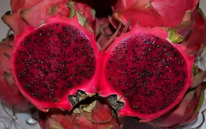 越南红心火龙果,高清图片,电脑桌面-壁纸族