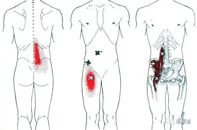 腰了个大肌怎么老是你我怀疑你有技术问题