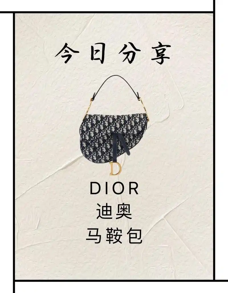 dior 马鞍包尺寸 - 抖音