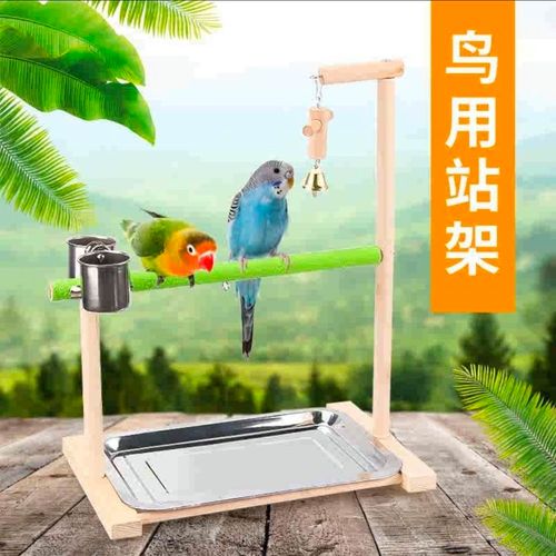 鹦鹉站架虎皮牡丹玄风鹦鹉架子爬梯磨爪木站棍站架鸟架子