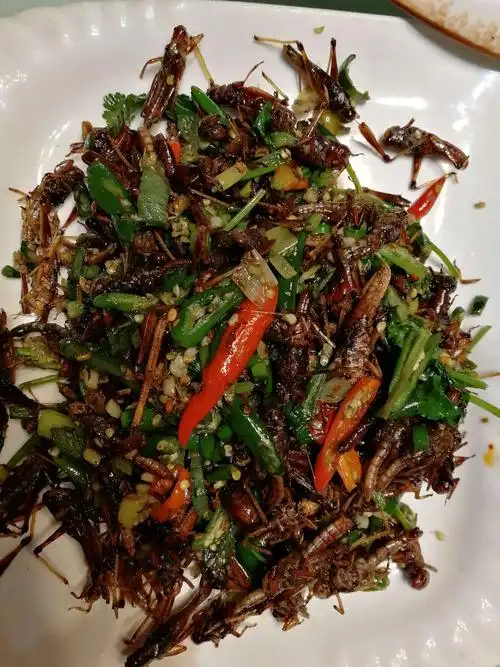 家乡的美食,辣椒炒蚂蚱.