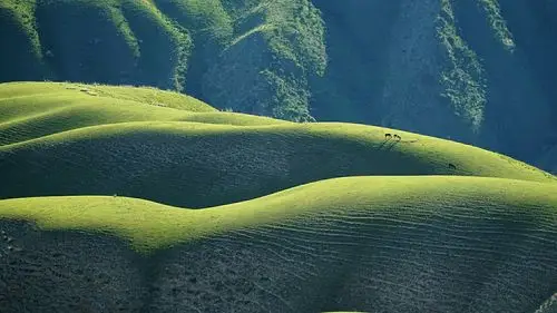 新疆草原的精华～喀拉峻人体草原风光(新疆夏天的风光亚克西之九)