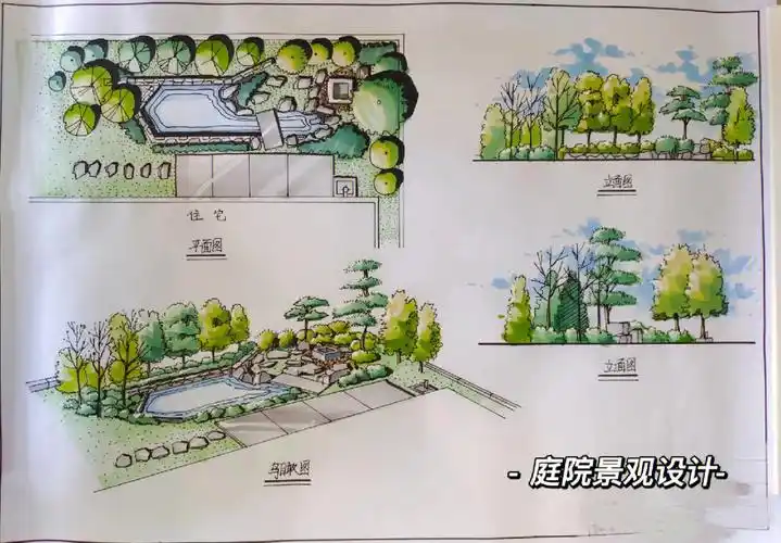 庭院景观设计平面鸟瞰立面上色