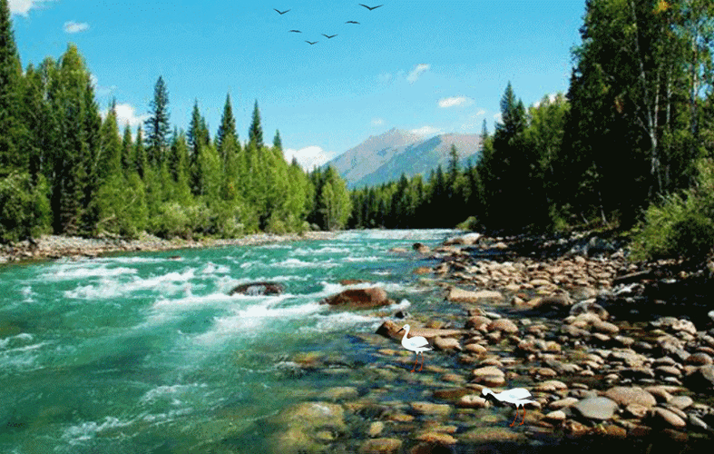 【fs--素材】—歌星演唱动画透明素材【8个】 - 夕阳无限美 - 欢迎