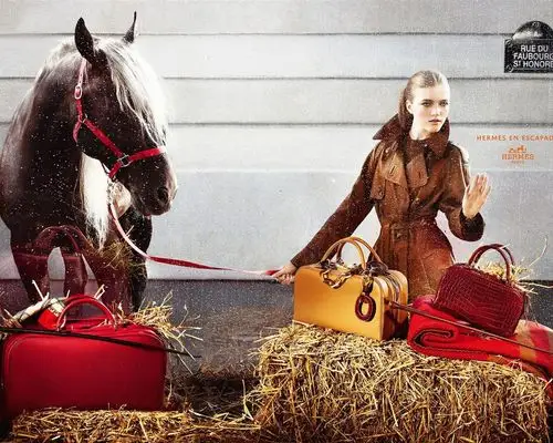 爱马仕-全球品牌广告壁纸