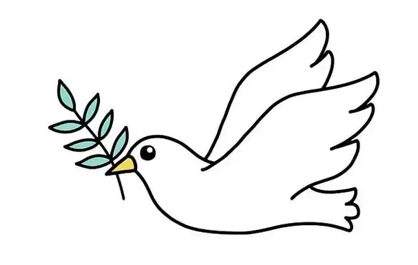 如何画鸽子简笔画画法步骤图解教程