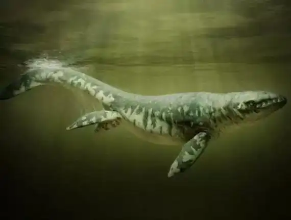 也有体型大小不同的种类倾齿龙虽然它看起来像一只史前海豚,但它是一