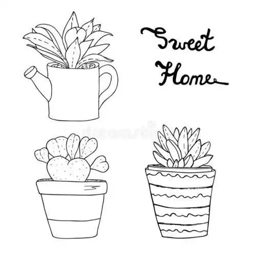 花盆里植物简笔画