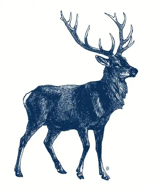 新手必看复古风格驯鹿的画法