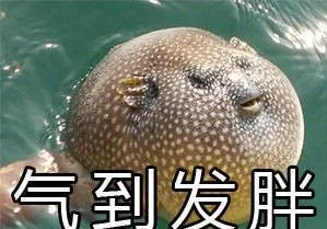 董事长林奇抢救无效去世据其首诊医院医生介绍林奇像是中了河豚毒素