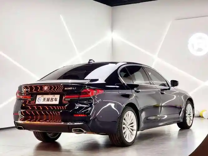 宝马 宝马5系  2021款 530li 尊享型 豪华套装图片