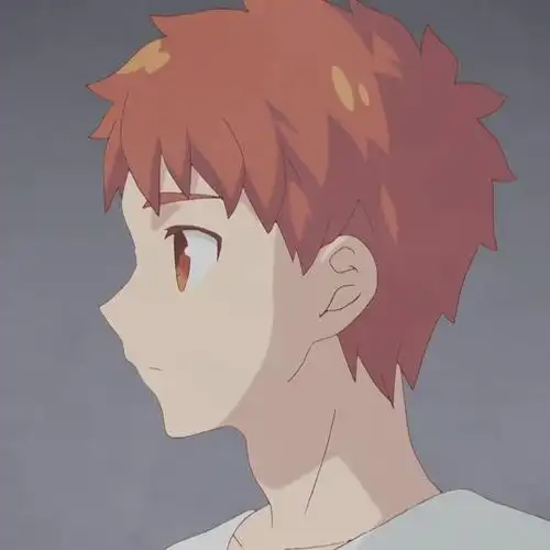 卫宫家今天的饭卫宫士郎