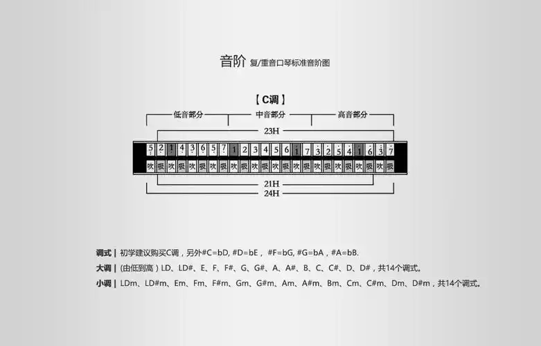 日本原装高级专业演奏21孔重音口琴 9521 木质琴格 大调 c调-常用调式