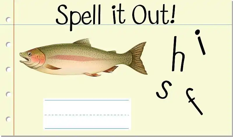 拼英文单词fish图片