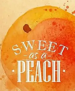 1671091个关于"矢量水彩画"的素材