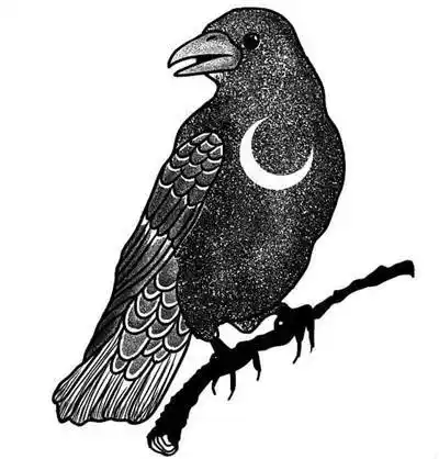 23张弦月乌鸦纹身手稿素材
