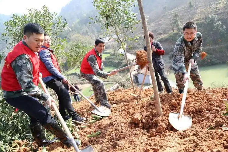 相约春天 植树节里缙云党员干部种树忙_手机浙江网