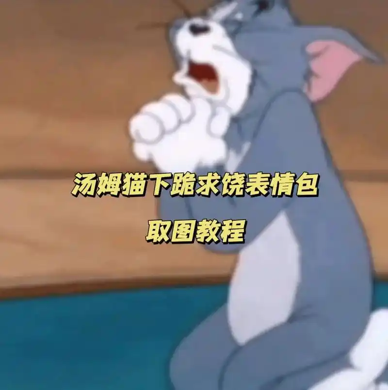 汤姆猫下跪求饶表情包 汤姆猫下跪表情包.#汤姆猫下跪求饶表情 - 抖音