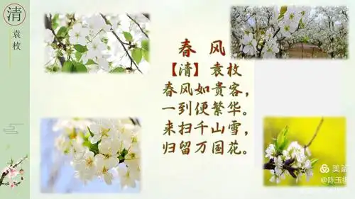 写美篇                    【清】袁枚                       春风