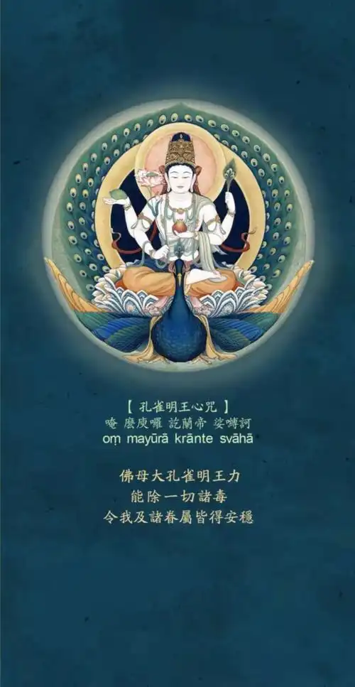 修持孔雀明王法问答(上)