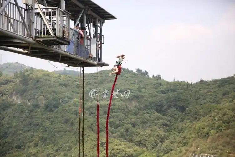 玩得就是心跳!武当山快乐谷体验全国峡谷第一蹦极