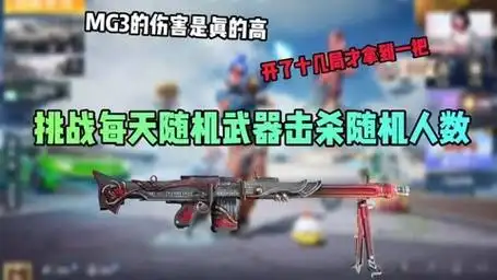 和平精英 挑战用mg3击杀13人