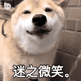 300_300gif 动态图 动图