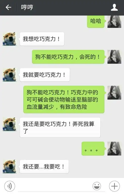 要吃不要命汪这是一只叫哼哼的狗狗和主人小王的微信聊天记录.