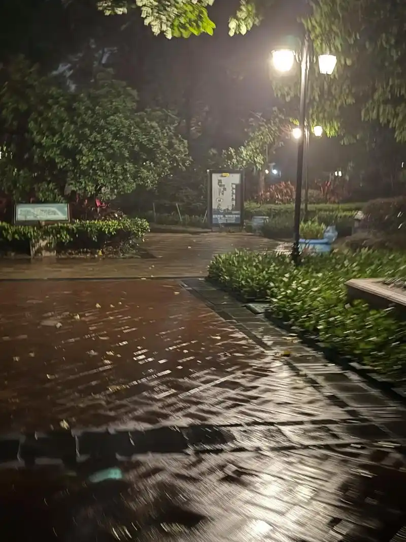 下雨的夜晚 下雨就下雨吧,千万别把我那可怜的五一假期给泡了